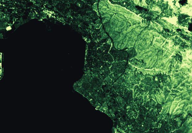 Chlorophyll map from the red edge