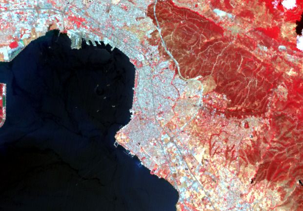 City and gulf in colour infrared, vegetation in red