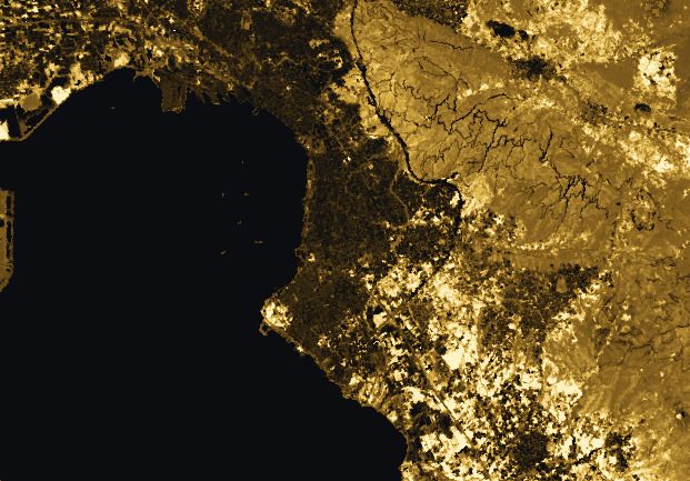 Dry plant matter map, harvested fields brightest