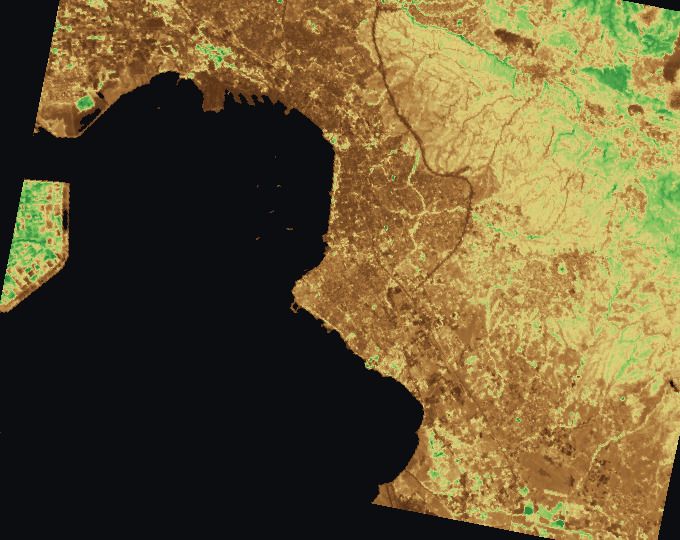 Thessaloniki and surrounding fields, index map: LAI