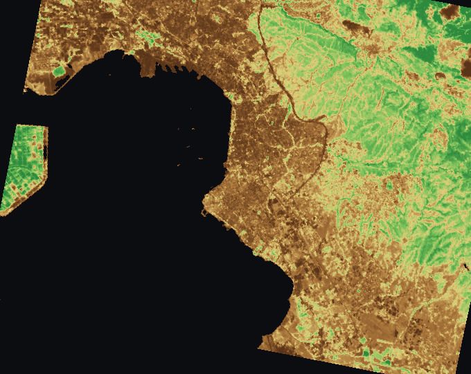 Thessaloniki and surrounding fields, index map: NDVI