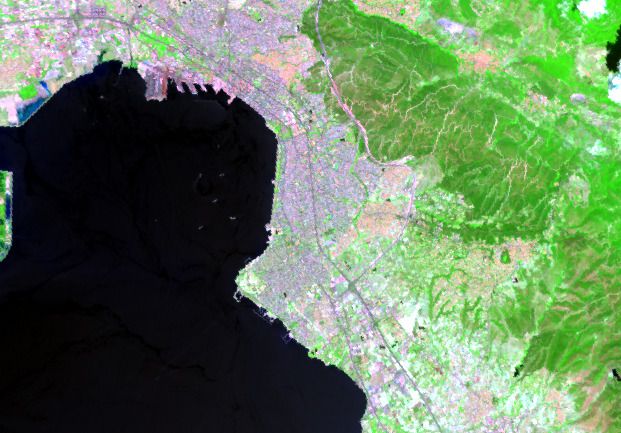 City and gulf in short-wave infrared, vegetation in green